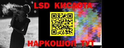СК Кингисепп