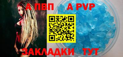 СК Кингисепп