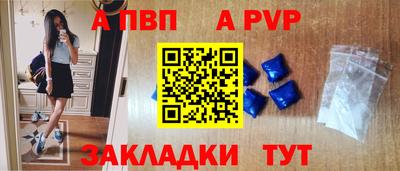 СК Кингисепп
