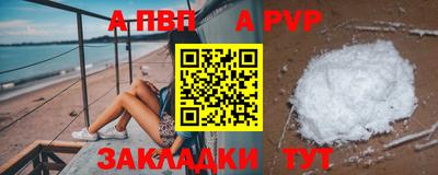 СК Кингисепп