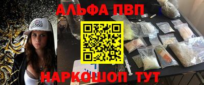 СК Кингисепп