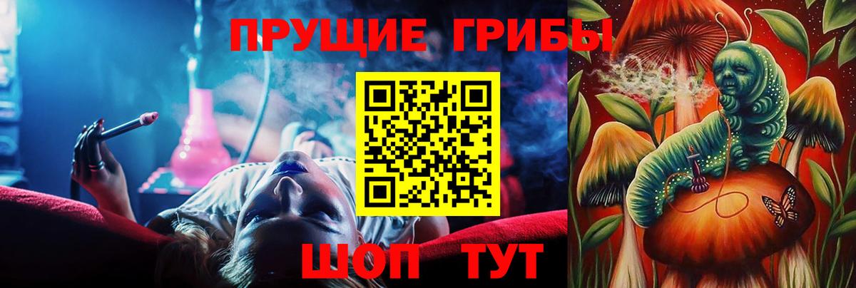 Галлюциногенные грибы GOLDEN TEACHER Видное